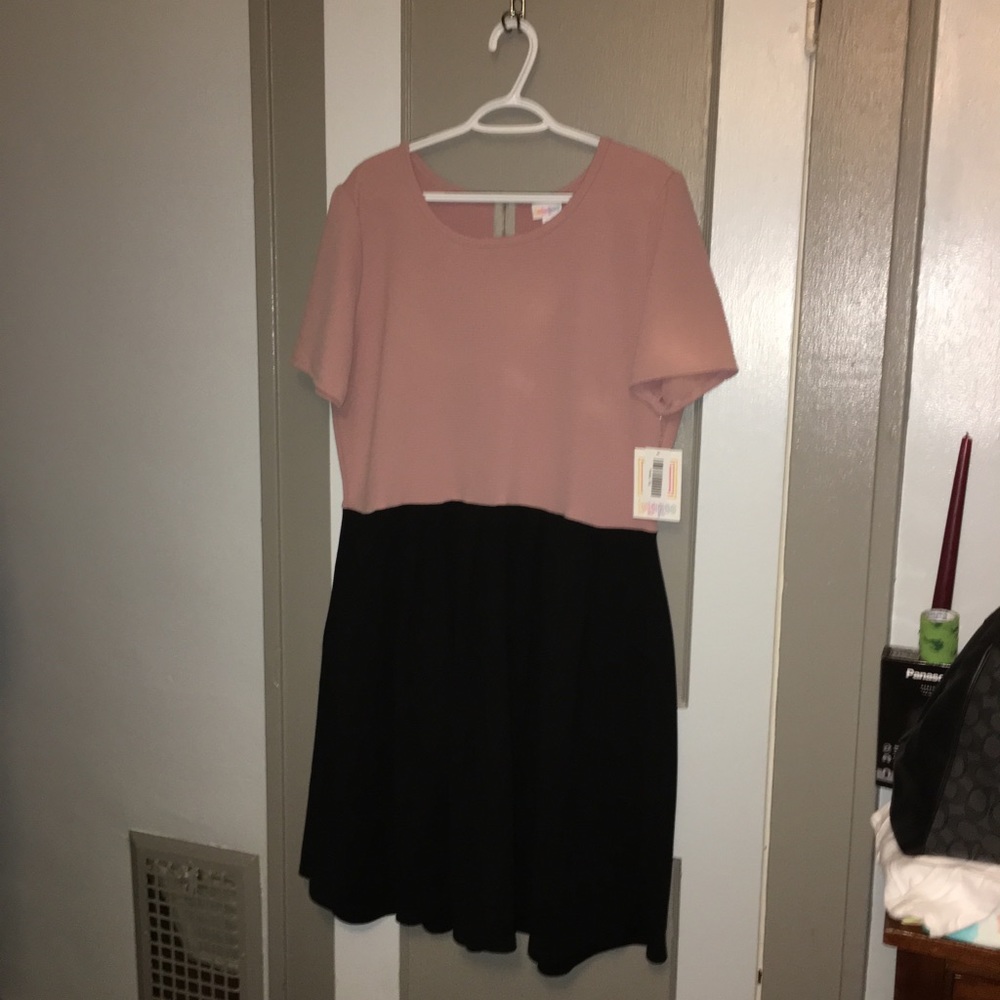 3XL LuLaRoe Amelia